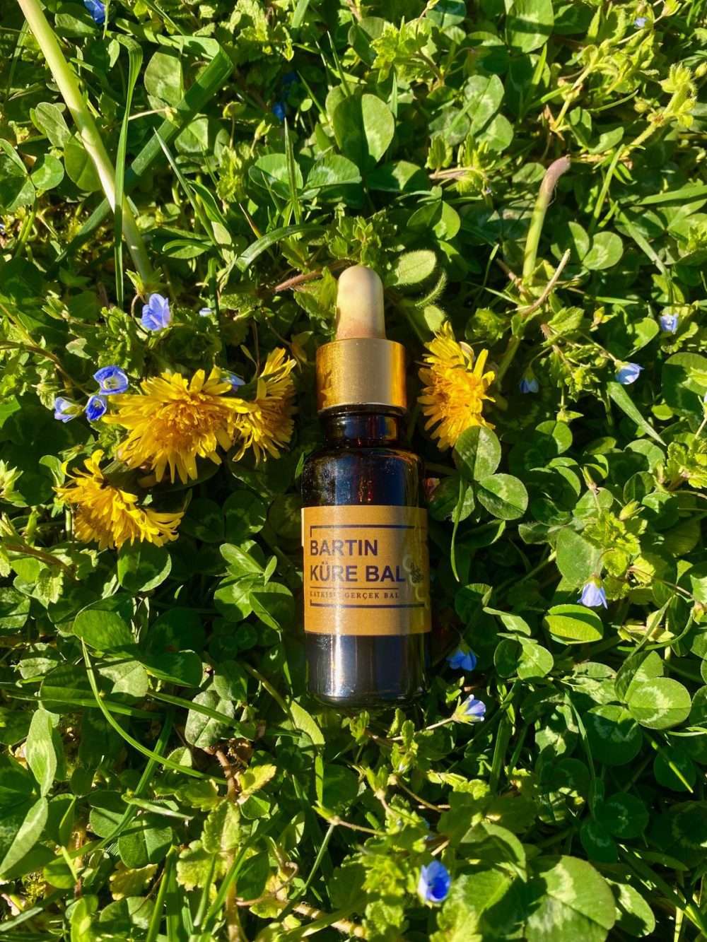 Propolis 25cc
