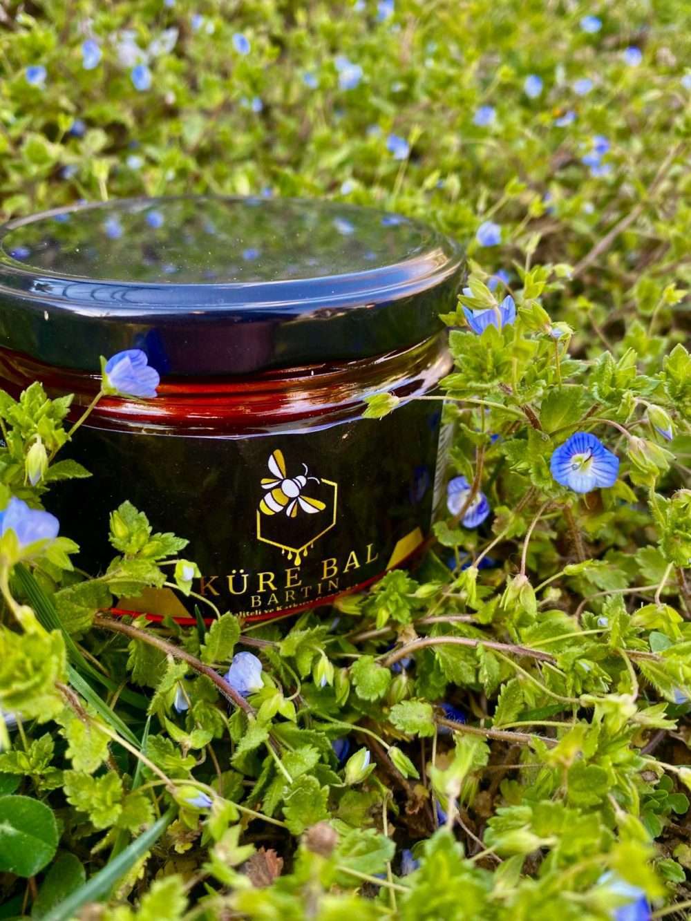 Kestane Balı 250g
